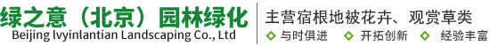 绿之意（北京）园林绿化有限公司,苔草,观赏草,宿根地被